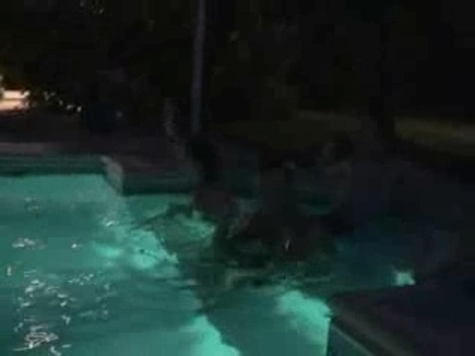 Tranche de vie à Versailles