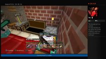 Mine craft video 2 (39)