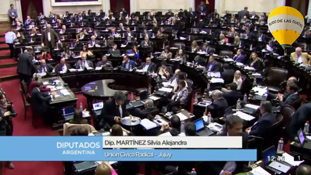 ALEJANDRA MARTINEZ "MILAGROS SALA TIENE UNA MANSIÓN MUY CERCA DE LA MÍA"