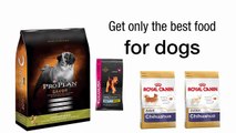 Having The Best Food Supplies For Your Pets