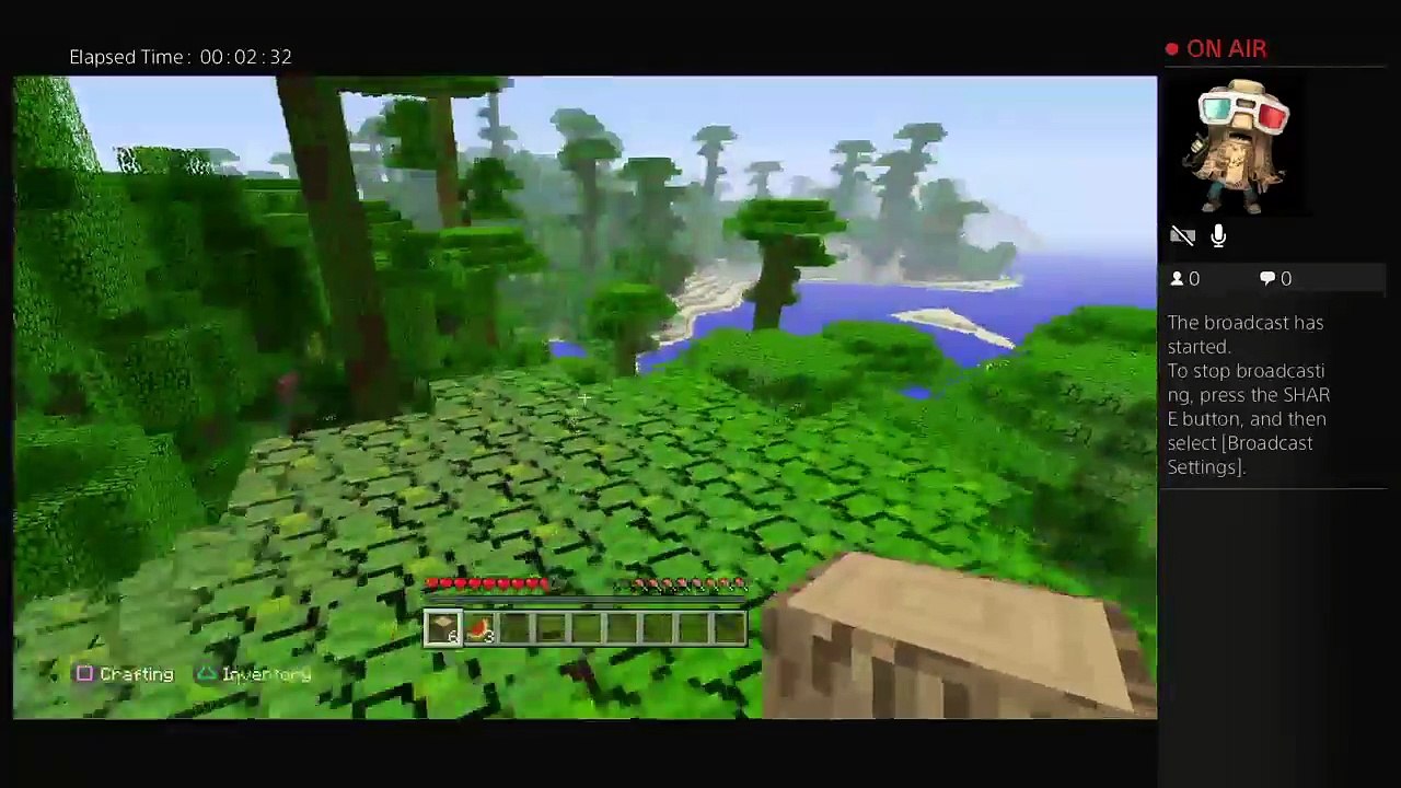 Minecraft with friends