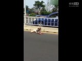 Une voiture traîne ce chien ensanglanté sur l'autoroute, mais ce qui se produit ensuite est inimaginable!