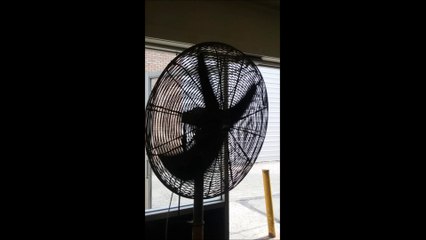 Hey, Watch This Fan At The Laundromat -- Episode 02