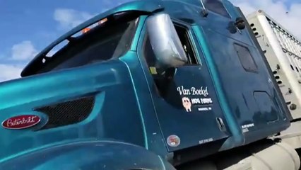 Elle donne à boire à des cochons entassés dans un camion, maintenant elle risque la prison!