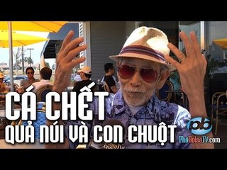 VN sắp công bố nguyên nhân cá chết, ông Cường ở Bolsa nhận định