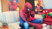 Spidergirl Frozen Elsa PRANKS Spiderman Pink Spidergirl w Spiderbaby Funny Superhero Video