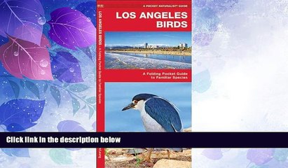 Big Deals  Los Angeles Birds: A Folding Pocket Guide to Familiar Species (Pocket Naturalist Guide