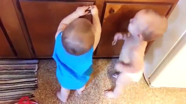 Пока родители были заняты, малыши нашли себе очень увлекательное занятие. Не удержаться от смеха!