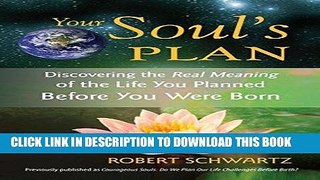 Ebook Your Soul s Plan: Discovering the Real Meaning of the Life You Planned Before You Were Born