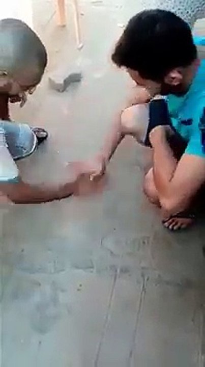 New Funny Videos 2016