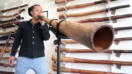 Jesse Lethbridge Didgeridoo Key of G (#3468)