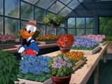 Donald Duck Chip and Dale - Donald Duck Cartoons Full Episodes EP3