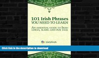 READ  101 Phrases You Need To Know: An essential guide to Irish lingo, slang and pub talk  BOOK