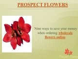 Ordering Wholesale Flowers Online -Prospect Flowers