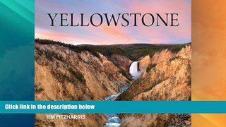 Big Deals  Yellowstone  Best Seller Books Best Seller