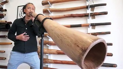 Jesse Lethbridge Didgeridoo key of F (#3449)