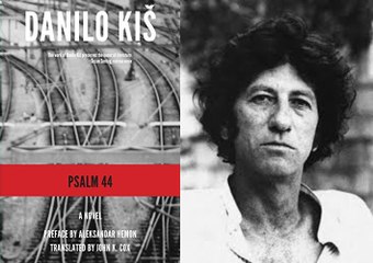 Literature Help Novels Plot Overview 522: Psalm 44