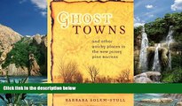 Books to Read  Ghost Towns: And Other Quirky Places in the New Jersey Pine Barrens  Best Seller