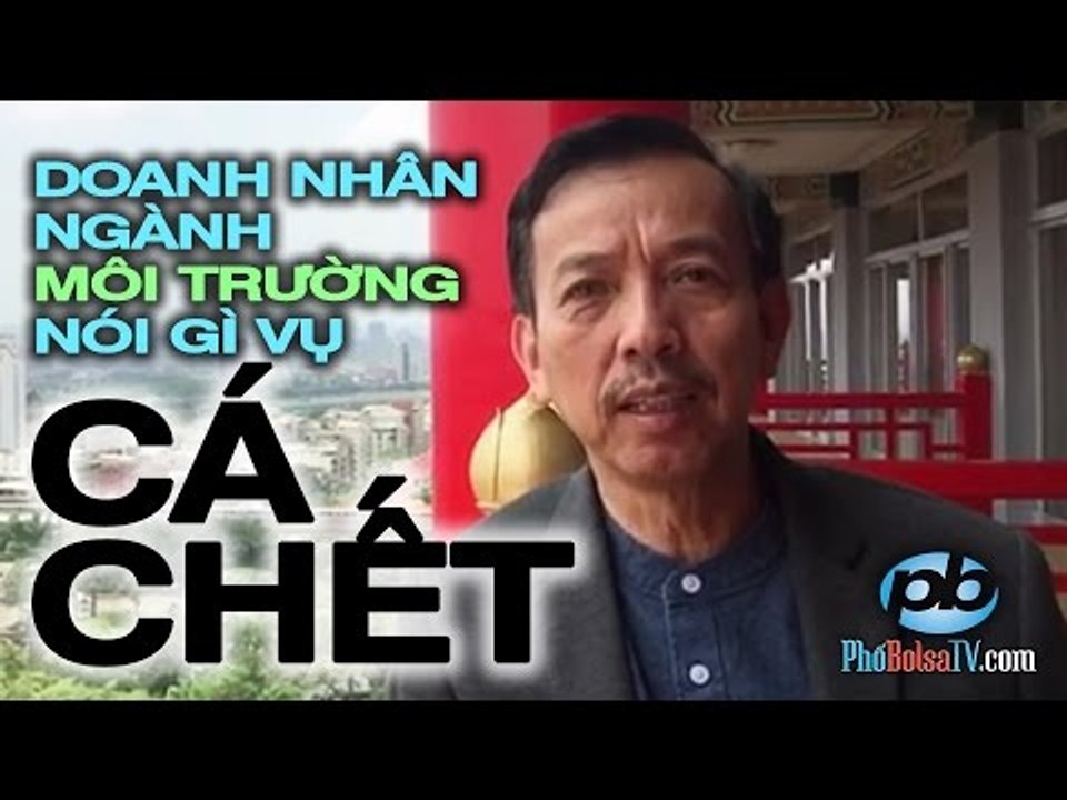 Cá chết hàng loạt ở miền Trung: doanh gia lãnh vực môi trường sẽ nói gì?
