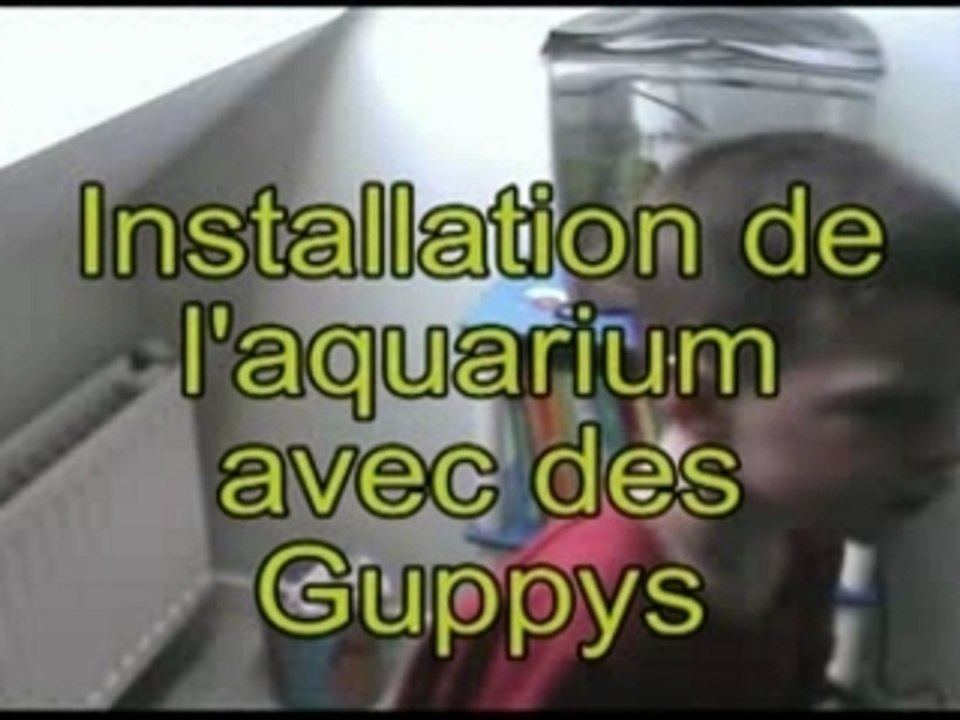 Aquarium