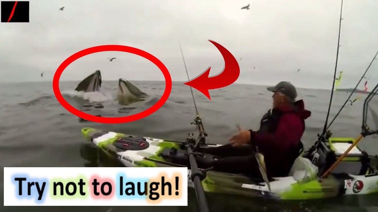 Fail compilation #34 - compilation de videos droles | video gag