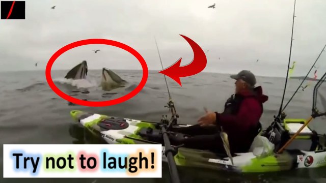 Fail compilation #34 - compilation de videos droles | video gag