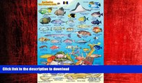 FAVORIT BOOK Barbados Reef Creatures Guide Franko Maps Laminated Fish Card 4