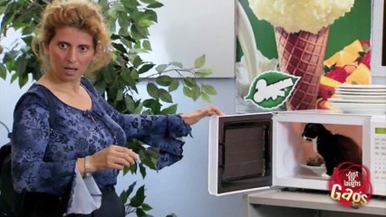 Cute Kitty Cat In Microwave Prank