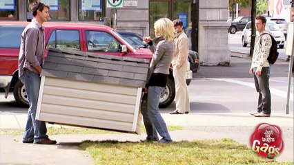 Cute Puppies Galore!