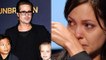 Brad Pitt Vs. Angelina Jolie | Shiloh & Pax Demand To Live With Father