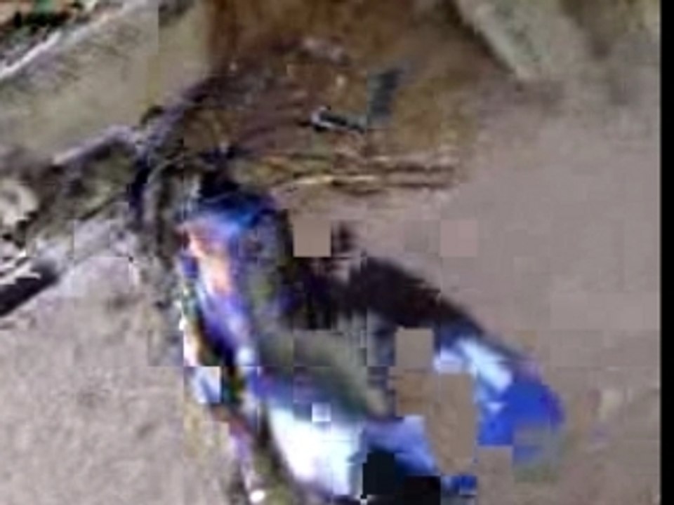 MOV00258