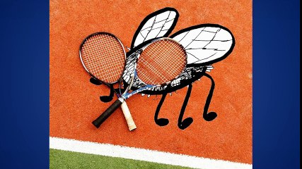 Những tác phẩm minh họa độc đáo từ đồ vật