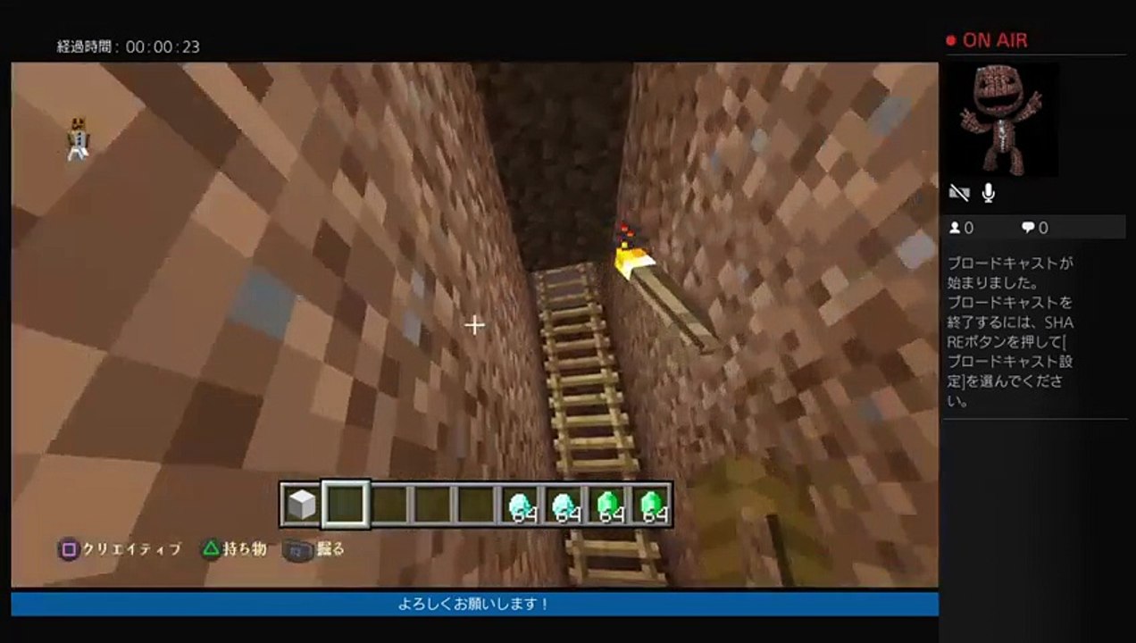 マインクラフトいろいろするよ (23)
