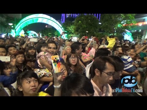 Rừng người xem pháo hoa giao thừa Bính Thân 2016 ở trung tâm Sài Gòn