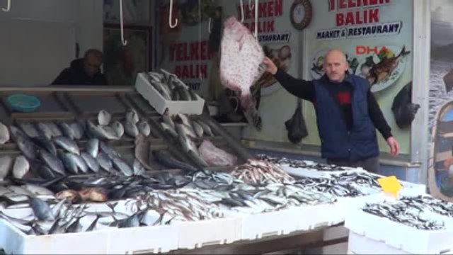 Samsun Karadeniz'de Hamsi Bolluğu