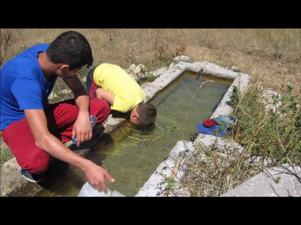 2013 AĞUSTOS FOTOĞRAFLARIM DAN