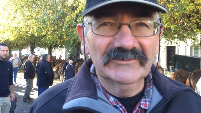 Paulo de l'Amour est dans le pré juge les poulains