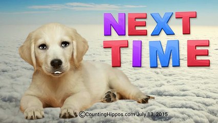 Singing Puppy on Clouds Sings ABC Song