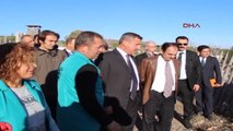 Burdur'da Tedavi Edilen Leylek, Şahin ve Pelikan Doğaya Salındı