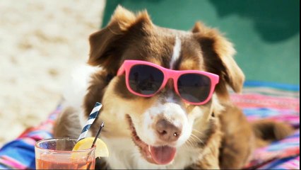 칠공주알바 - No1유흥알바, 여우알바, 악녀알바, 밤알바, 고소득알바