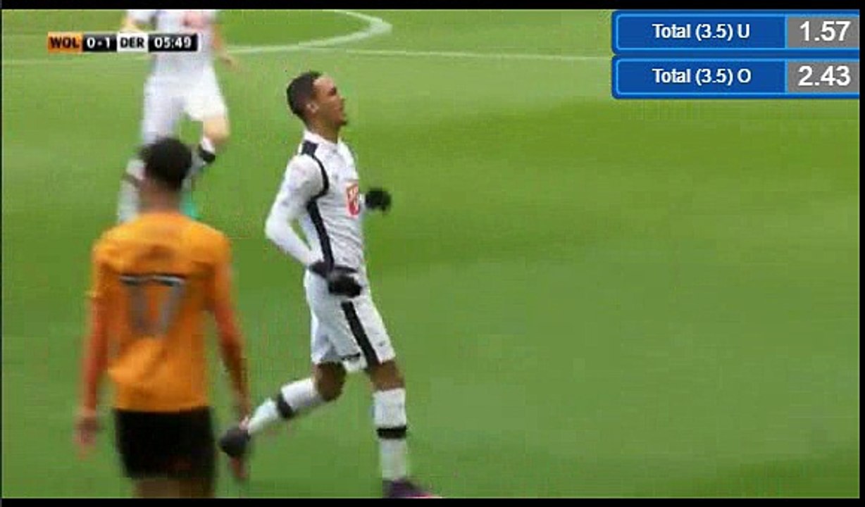 Tom Ince Goal HD - Wolves 0 - 1	 Derby 05.11.2016