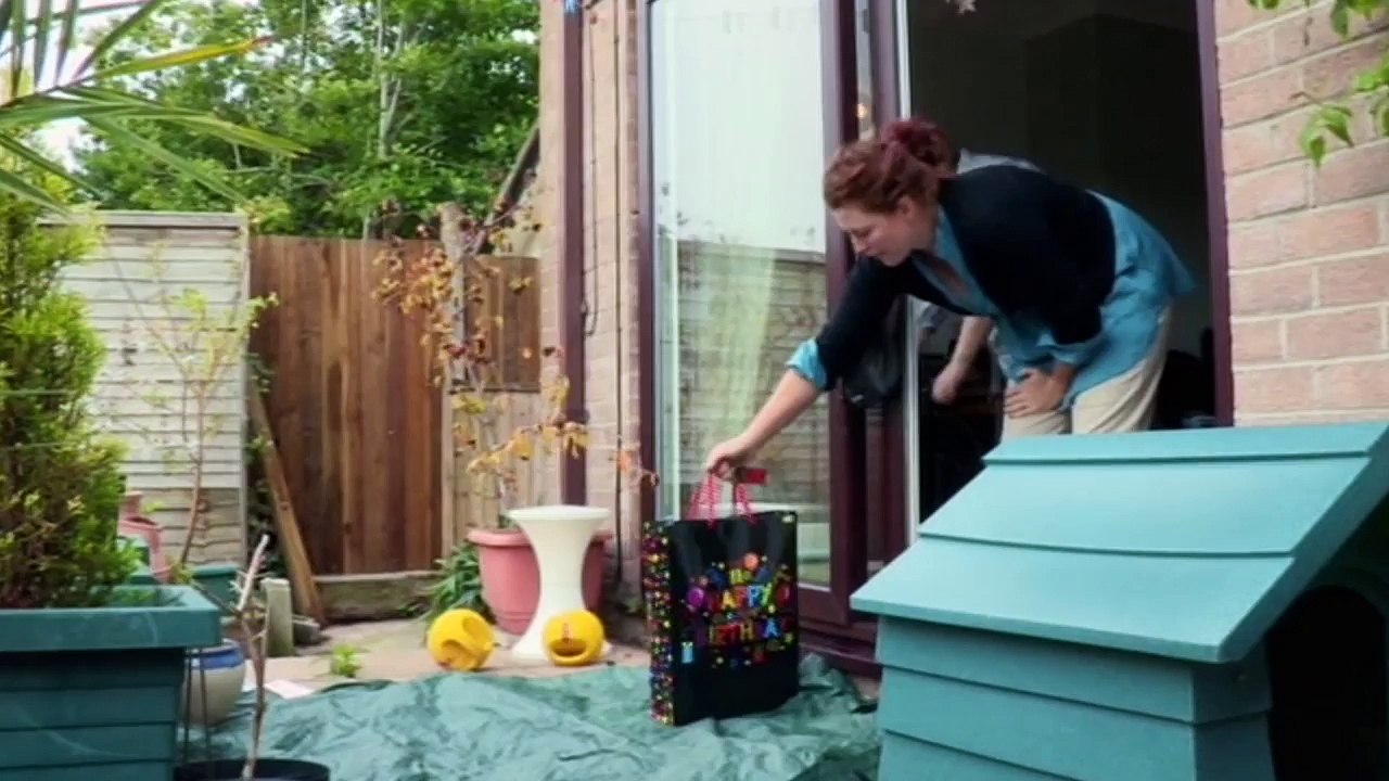 Obsessive Compulsive Cleaners