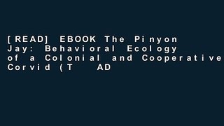 [READ] EBOOK The Pinyon Jay: Behavioral Ecology of a Colonial and Cooperative Corvid (T   AD