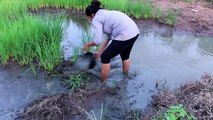 Beautiful Girl Fishing - Amazig Fishing at Battambang - Cambodia Traditional Fishing - (Pa