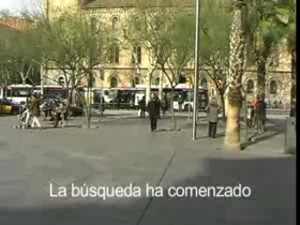 Trailer mileurista
