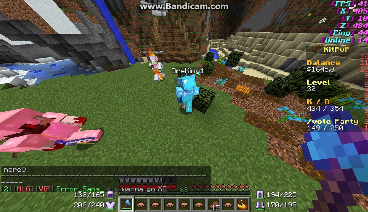 Report