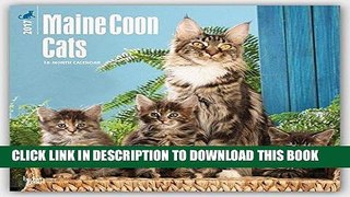 Best Seller Maine Coon Cats 2017 Square Free Read