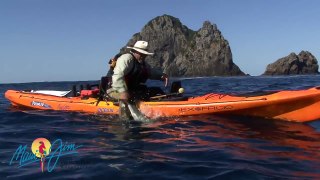 Shark Attack - Shark Rips Fish from Kayaker's Hand