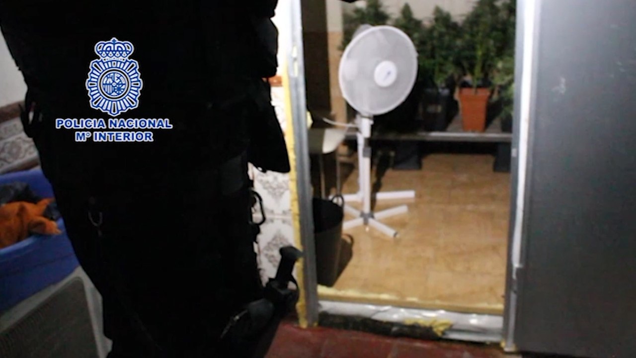 Desmantelado por la Policía un grupo que vendía drogas