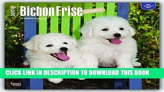 Best Seller Bichon Frise Puppies 2017 Square Free Read